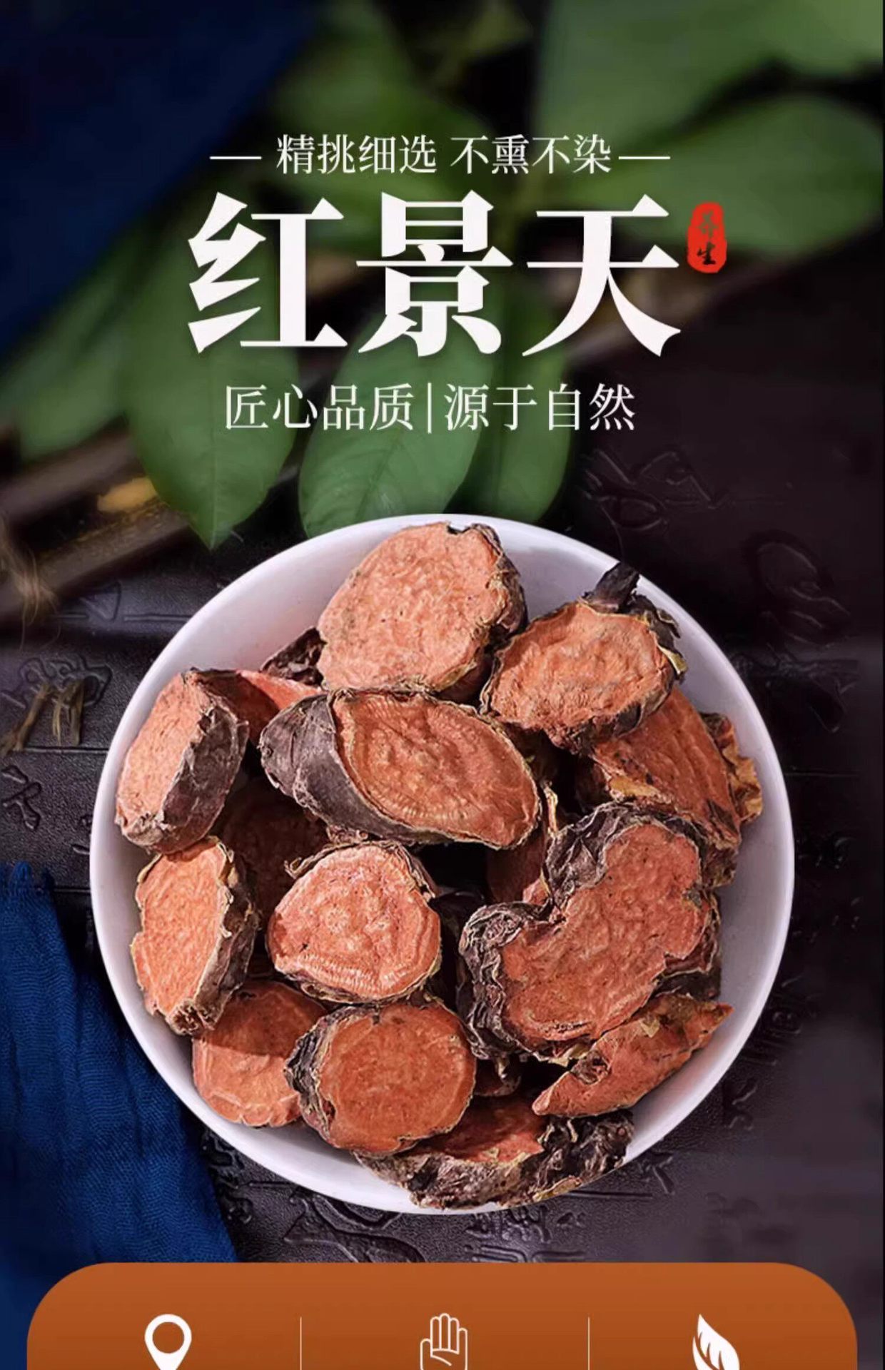 Tibetan Wild Rhodiola Root Slices Hong Jing Tian 500g Dried Herbal Tea for High Altitude Support overview