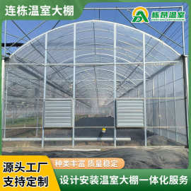 连栋菜花卉养殖温室大棚生产厂家 农业种植大棚瓜果采摘大棚