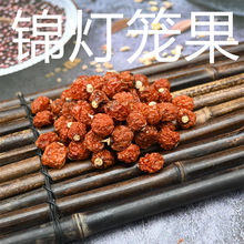 锦灯笼果 中药材红姑娘子 东北红菇娘果灯笼酸浆果姑鸟洛神珠果非