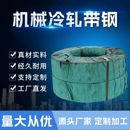 涡卷弹簧;冷轧带钢;其他弹簧