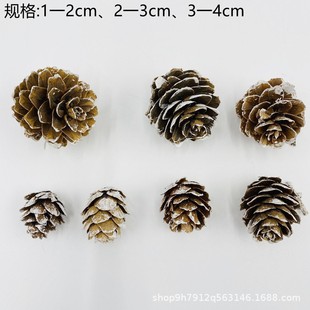 �a�ع��������ɹ����~�� �ɻ� ��Ȼ�ɹ�ԭɫ��ɫ�ɹ� �ɷ��b