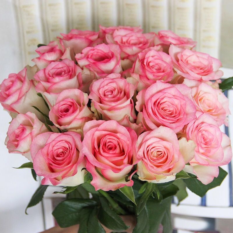 b4e85b30-f3ed-4474-a783-35faed68aab5.jpe