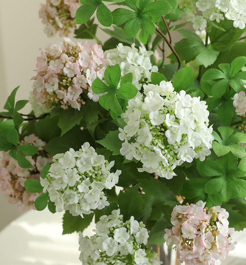 IMG_2821(20230310-105229)