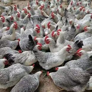 ���u�����u���w���J���u�����u�µ��u���u�߮a�������u�µ�