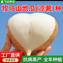 ���l�عϷN�����Rɽ�ع��r���߲˷N�Ѹ߮a�����N�������������