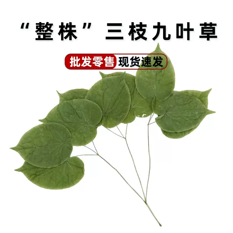 长白山整株野生淫羊藿500g圆叶男性滋补三枝九叶草厂家批发中药材