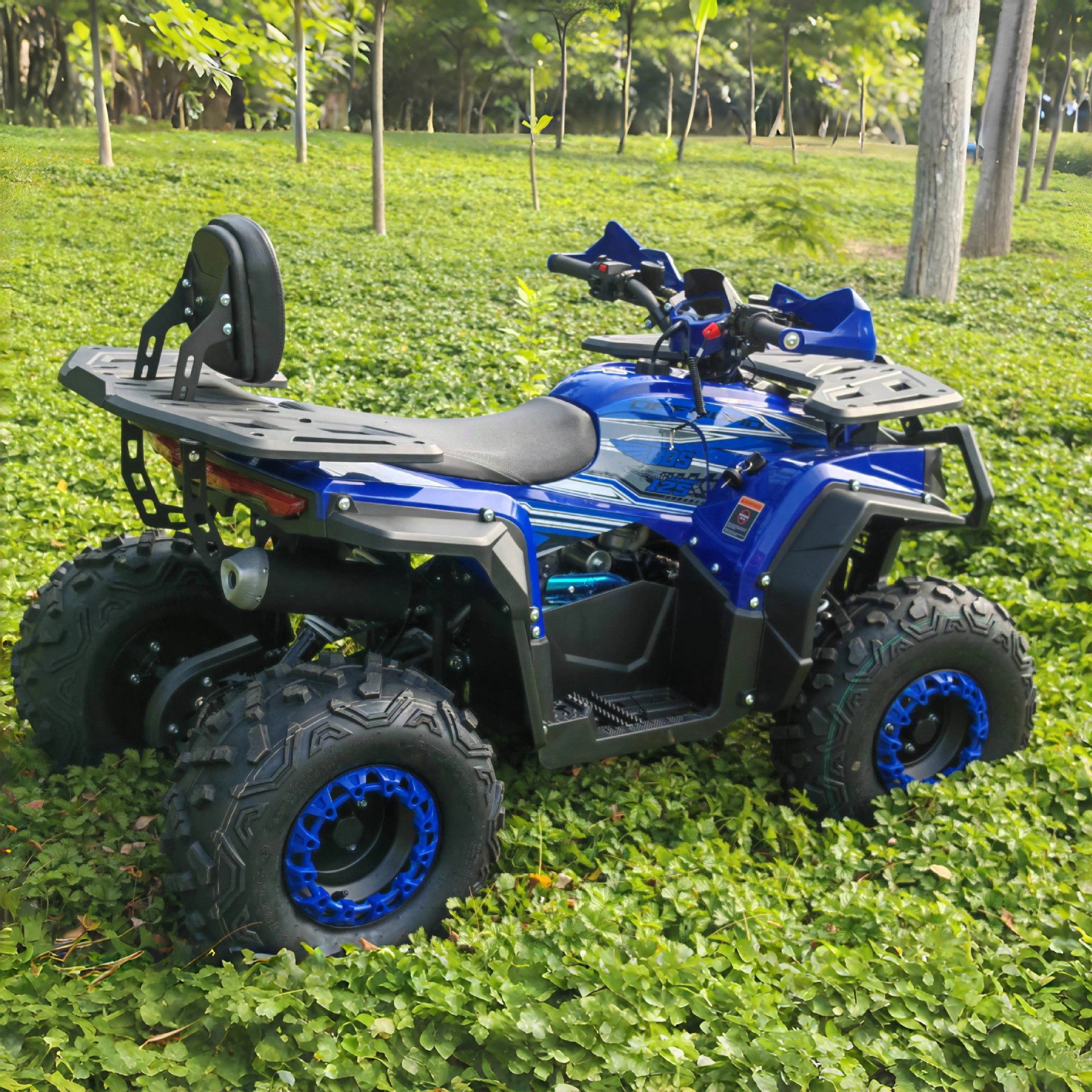 ATV 125cc de gasolina motocicleta de playa motocicleta de cuatro ruedas motocicleta todoterreno todo terreno vehículo de montaña