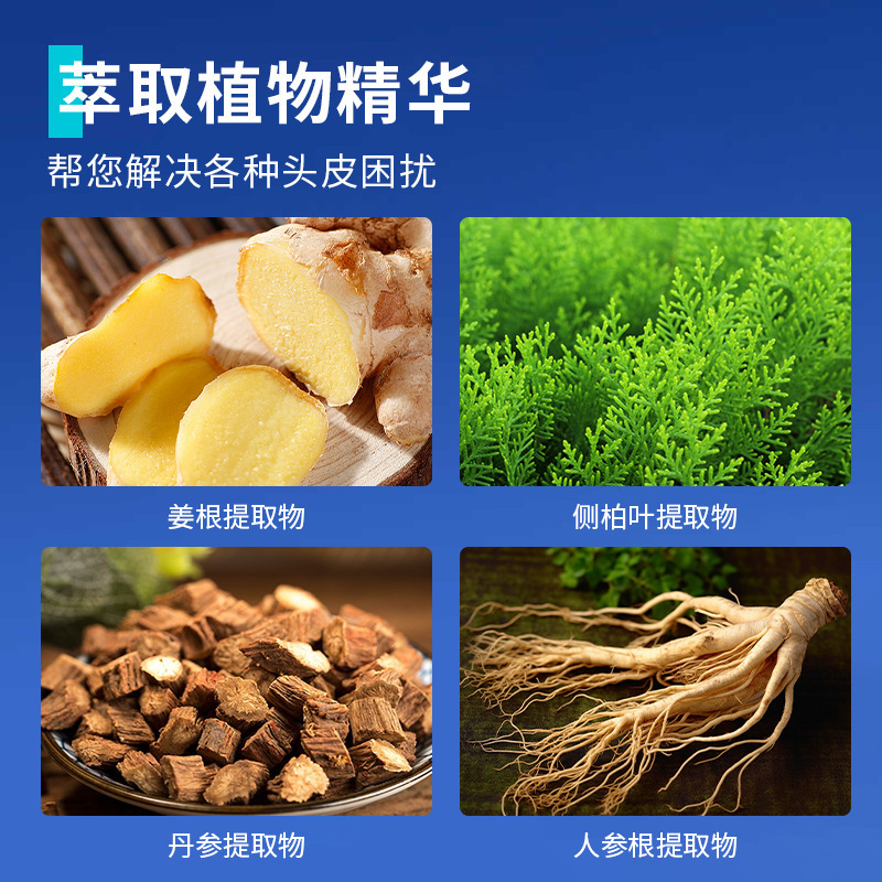 鄒潤安屑康王ケトン康打清毛包頭皮シャンプー頭コケ爽やか油ダニ屑抗菌洗浄剤|undefined