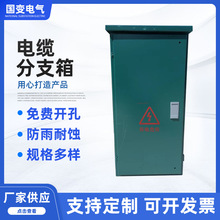 ���P���|��֧��  ��|�ֽ���