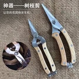 修树枝摘水果神器树枝剪 跨境热销修剪树枝用园林园艺剪刀