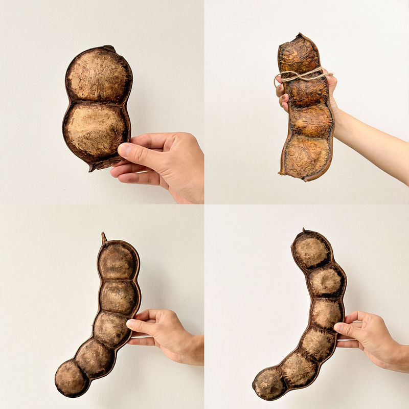 Wholesale Yunnan Rattan DIY Bean Pod Pendant Handmade Peace Bean Ornament Pendant Specimen Display Piece One-Piece Dropshipping