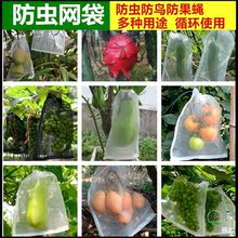 果树小袋子番石榴枇杷雪梨蔬菜水果套袋袋水防虫保护防虫袋橘子