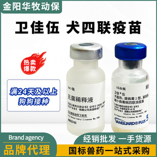 �x���l���錙��Ȯ�Ì��ﹷ�����l��5��Ȯ��Ȯ�A��Ȯ����С������