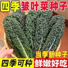 ~˷N~¸{ڸ{~{ް̨߲˷N