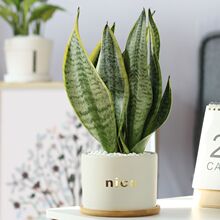 ��β�m��߅��Ƥ�m�҃ȃ����՚�����ȩ�����k�������Կ͏d�Gֲֲ��