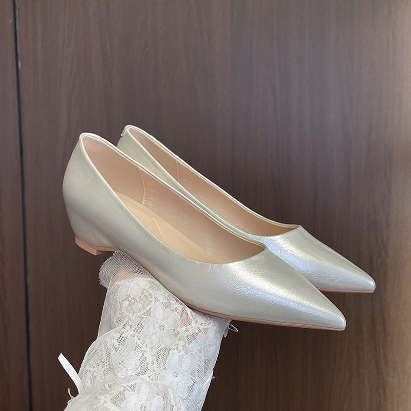 Giày cao gót nữ mũi nhọn tăng chiều cao bên trong, gót dốc 3 cm, da mềm, phối đồ công sở — Màu bạc, Màu mơ, Màu vàng nhạt