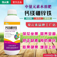 �}�V���\�FҺ���~�������Ԫ��Һ�w�ʴٻ������G�~�����}�V���\�F