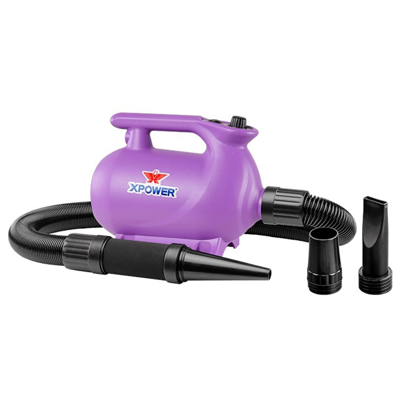 B- 123 단일 모터-보라색