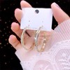 Goods, fashionable universal advanced earrings, silver 925 sample, fitted, bright catchy style, high-quality style