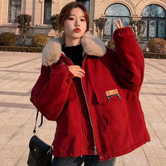 女性用の厚いベルベットジャケット、冬の新しいスタイル、ゆったりとした服、暖かい綿の服、小柄な人のためのトレンディな綿の服