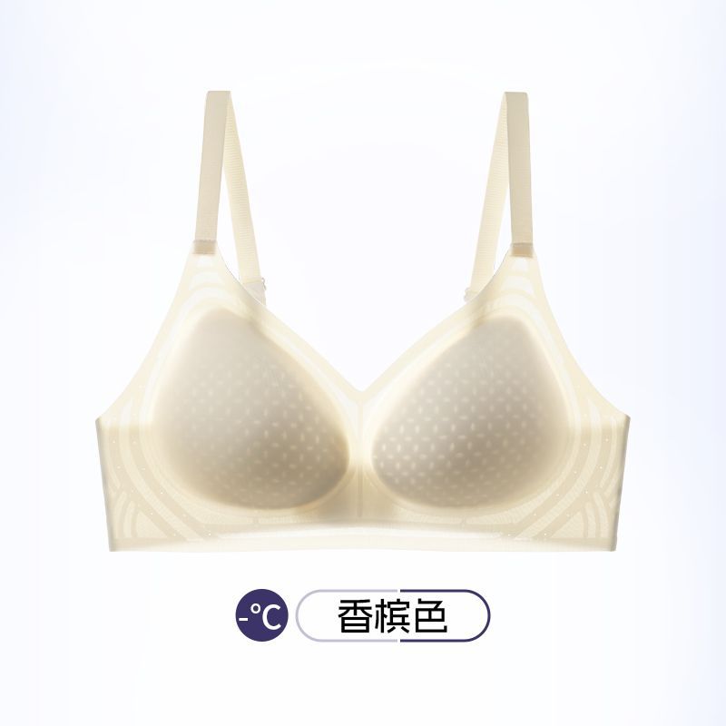샴페인