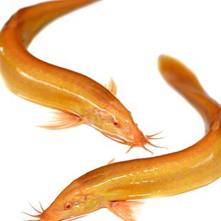 �q���������q���B���q��ˮ�~С���~�ͻ���w�^�p�~���]