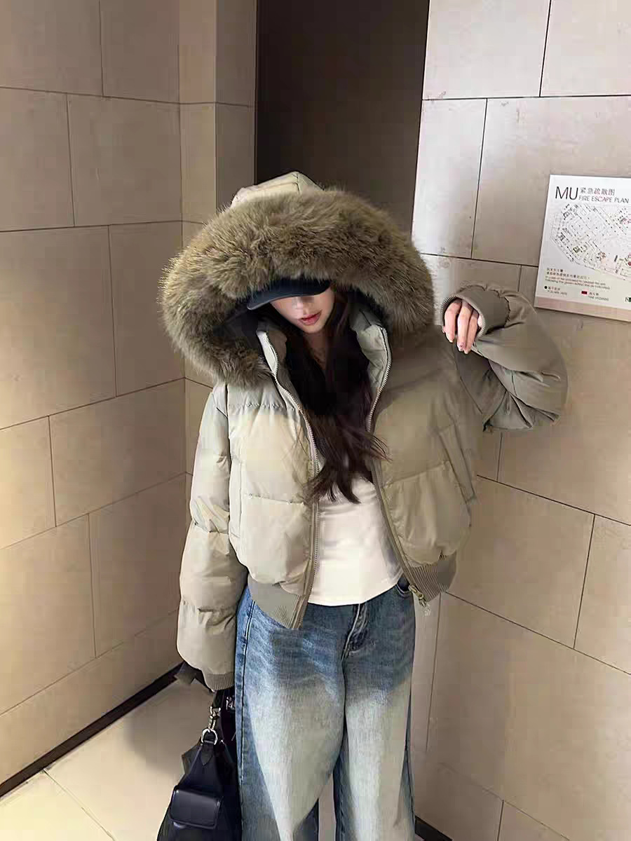 tb_image_share_1763173656084.j