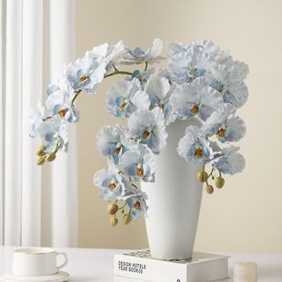 �����m���滨9�^С�t��ͬ���nʽins����[�����ՔzӰ�Ҿ��bٻ�