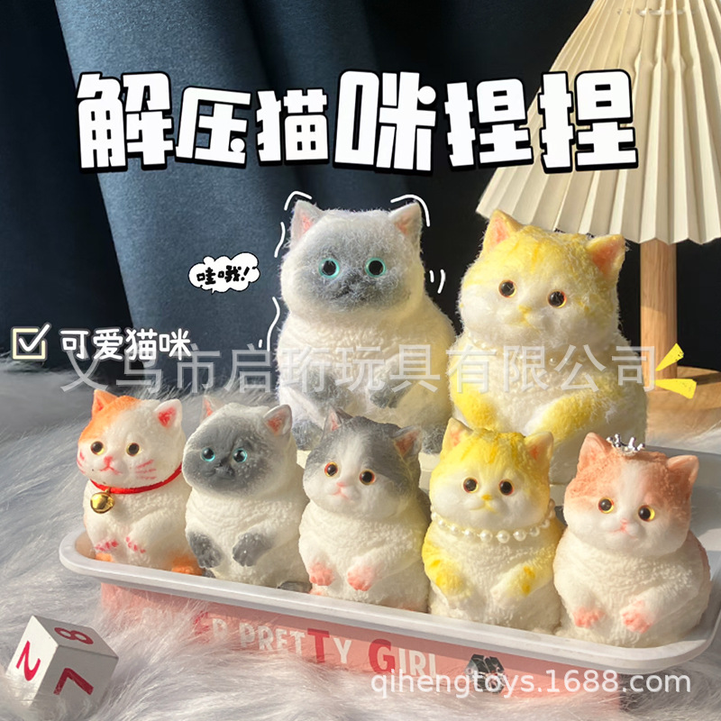 Super lindo gato gordo pellizco pellizco pelliz