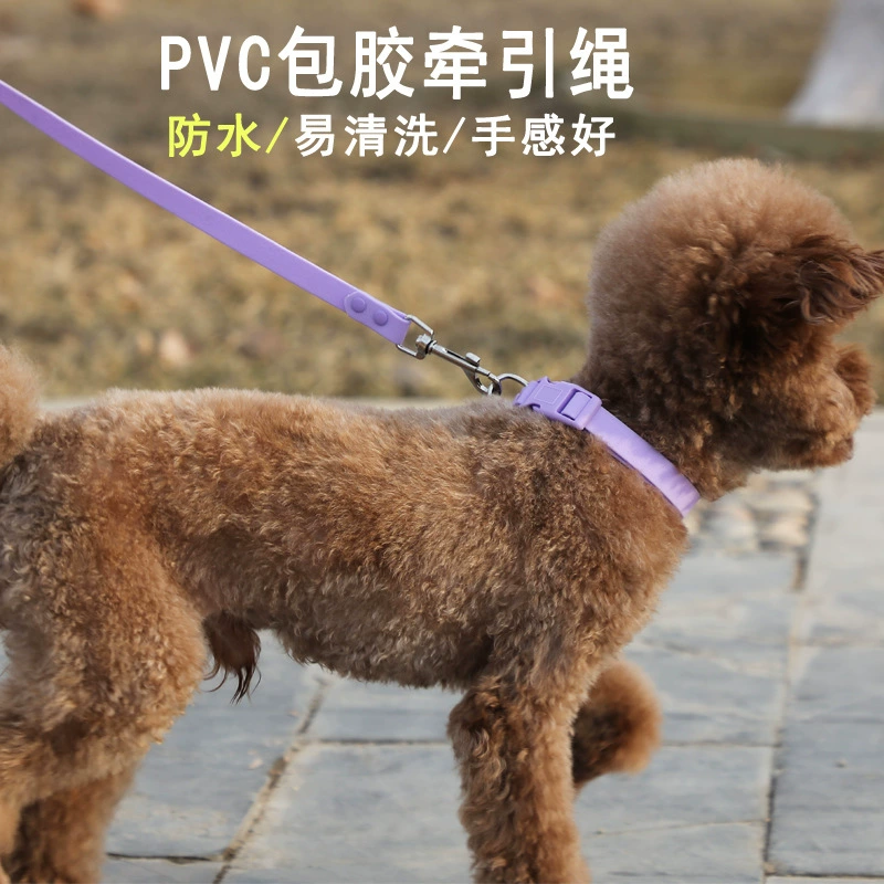 Трансграничный новый поводок для собак