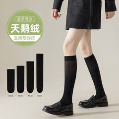 Sheer Thigh Socks with Down Fleece for Spring and Summer, Japanese Style Comfort Cotton Socks, Fashionable Breathable Black and White Mid-Calf Socks for JK Students