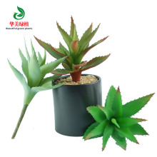 仿真多肉小丽人芦荟 塑胶假花家居装饰盆景 办公区桌面摆件盆栽花