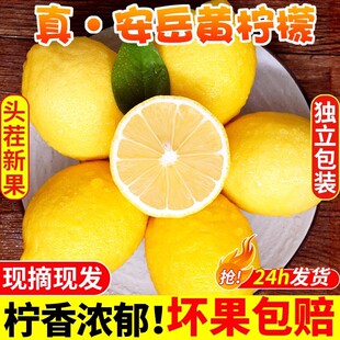 �Ĵ������S�������rˮ��Ƥ���������侫�x��ˮ��������С����خa
