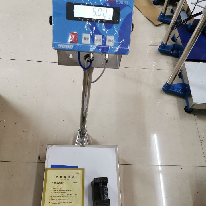 E0833防爆台秤本安型电子秤称30KG60KG120KG150KG200KG300KG