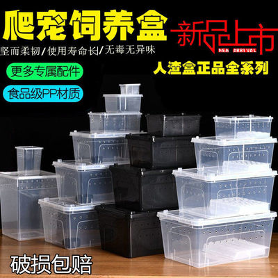 爬虫饲养盒蜘蛛角蛙蜗牛仓鼠守宫爬宠箱乌龟缸寄居蟹饲养缸人渣盒|ru
