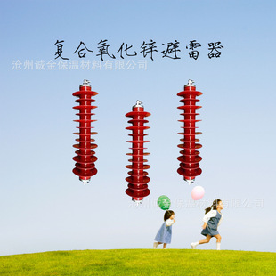 35kv zinc oxide lightning arrester HY5CX-51/134J outdoor high voltage line series gap type 42/120