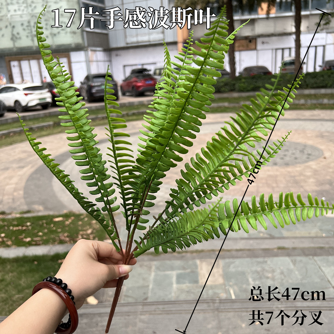 微信图片_20240330161710.jpg