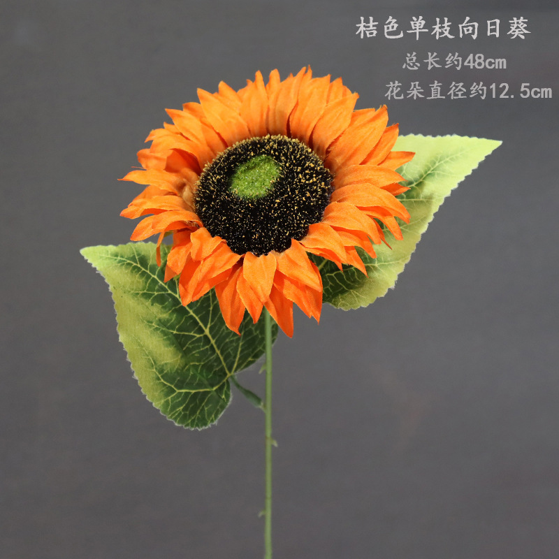 Naranja solo girasol