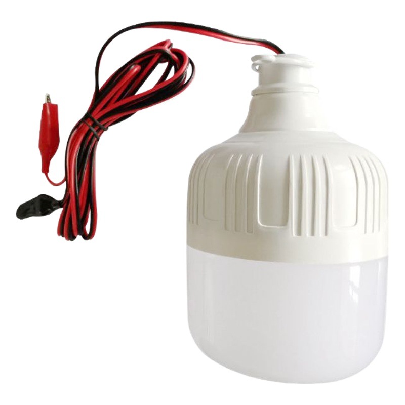 Lámpara del bulbo de la baja tensión del LED 12V DC 24V.36.60V AC/DC12-85V