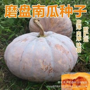 ��Ʒ�Nĥ�P�ϹϷ�����ϹϷN���ļ����N�߲˷N��ͥԺ��픷Nֲ�߲�