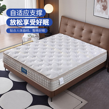 �p�ӏ��ɴ��|�Ҿ߼��ú�26cm����1.8*2��ϯ��˼���|���o������