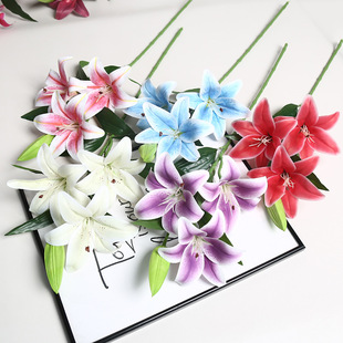 ���滨3D 3��1��С�ٺ� �[�������͏dܛ�b�zƬ�ߙn������Ҕ[����