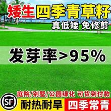 ƺo¹RļͥԺ̺ƤGݷN