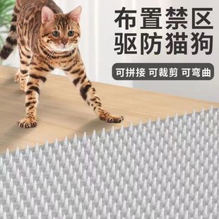 ��؈����ϴ��y��������؈���̉|ץɳ�l���o؈�����x���^�̾W�|