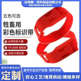 塑料模;其他塑料制品;模具制造