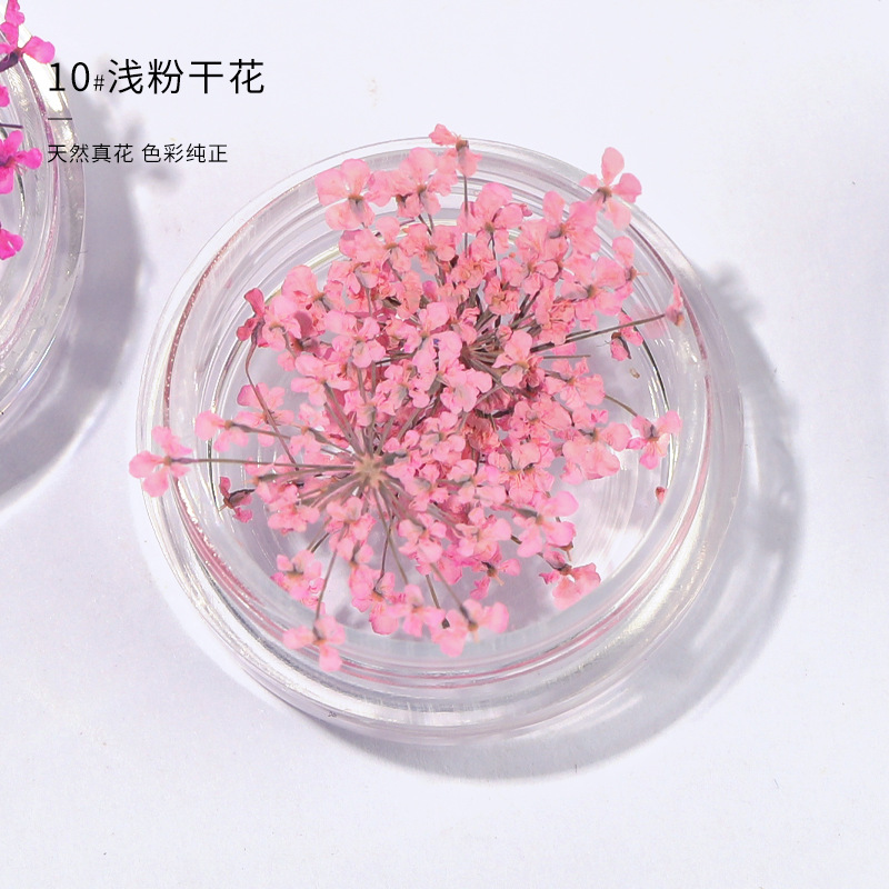 라이트 핑크 레이스 꽃 (3 박스)