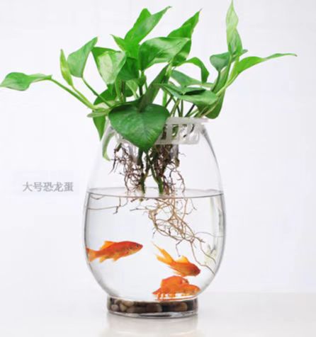 O1CN01ASW4561hpM9NZqgCe_!!2205