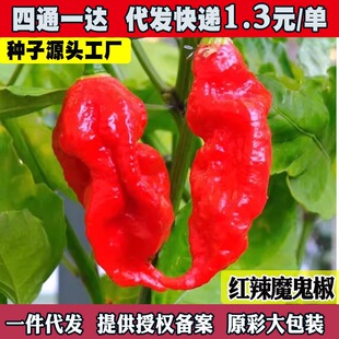 ����ħ�������펧����l؛�ļ��̨�������t�S�����N����