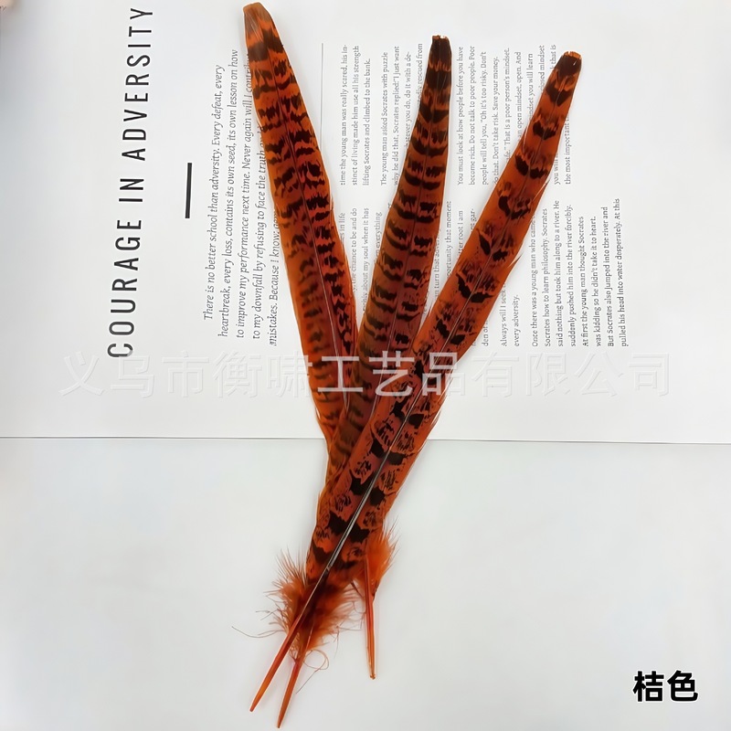 染色彩色羽毛母山鸡尾野鸡毛DIY手工制作婚庆舞台材料服饰配件|undefined