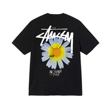 230СrղݮʽwļtŮSTUD